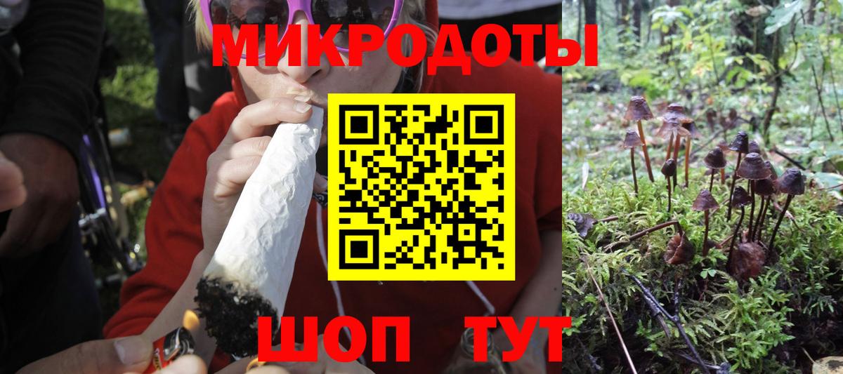 Псилоцибиновые грибы Psilocybine cubensis Верхняя Пышма